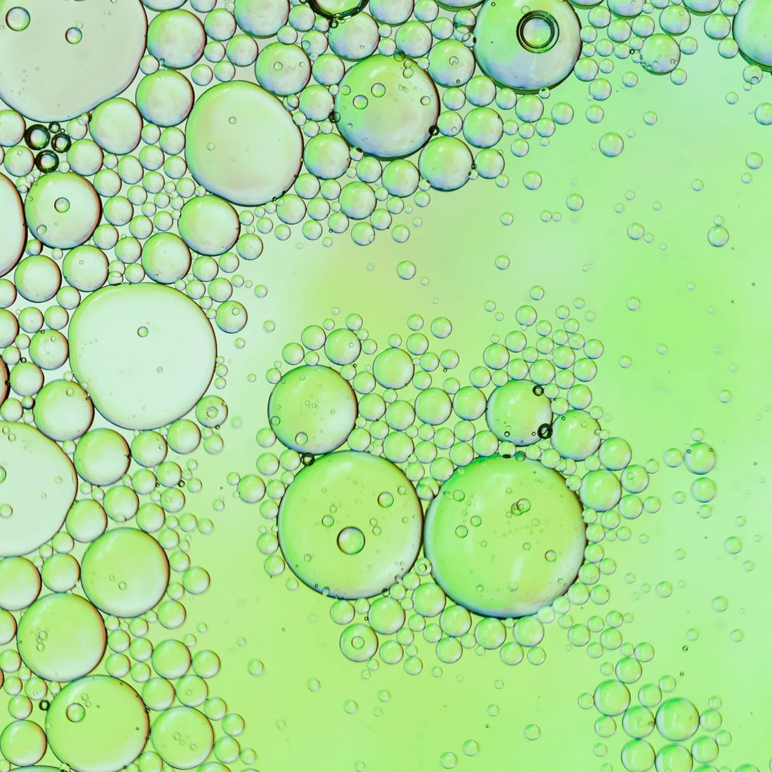 Beta-Caryophyllene: How This Natural Compound Supports Wellness