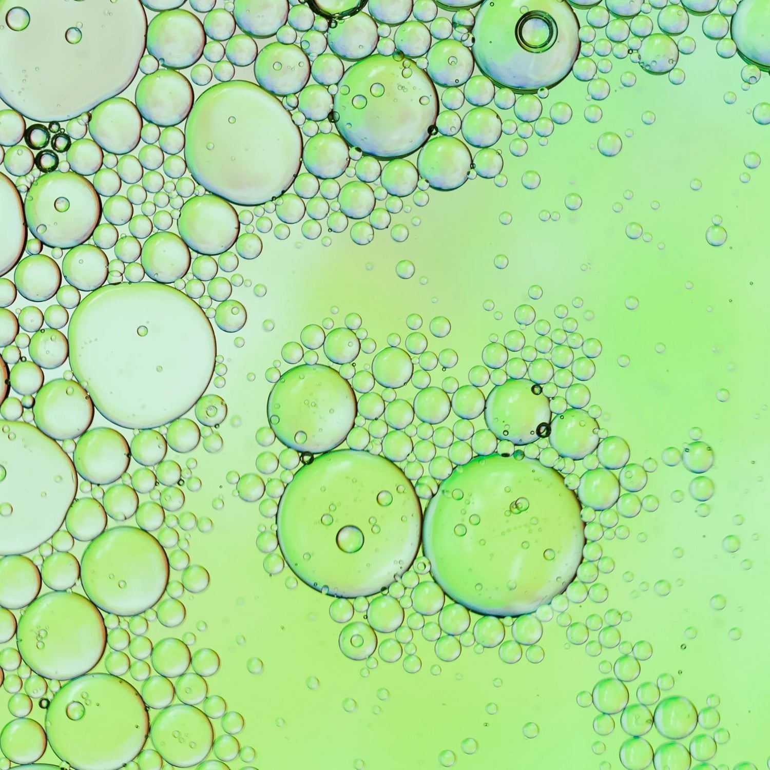 Beta-Caryophyllene: How This Natural Compound Supports Wellness