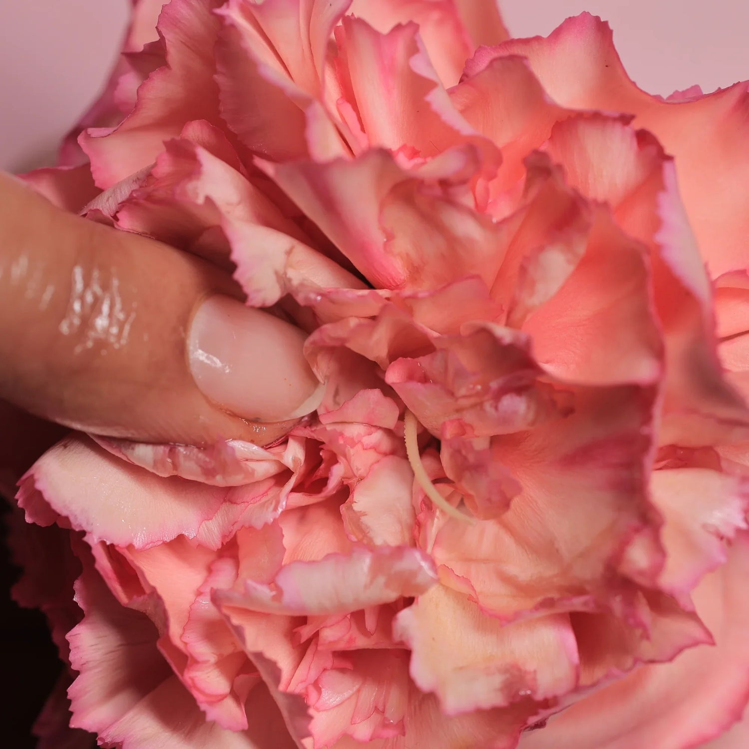 Can You Use CBD Oil as Lube? Here's the Truth