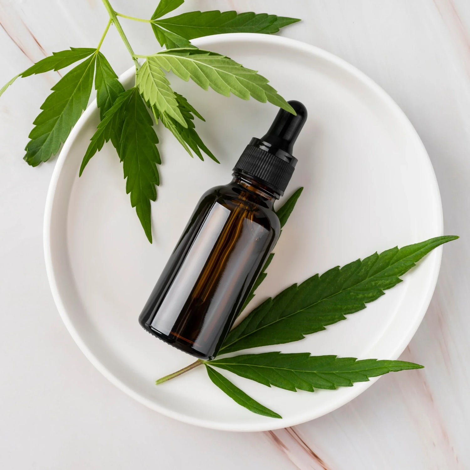Difference Between Hemp Oil and CBD Oil: What You Must Know Before Buying