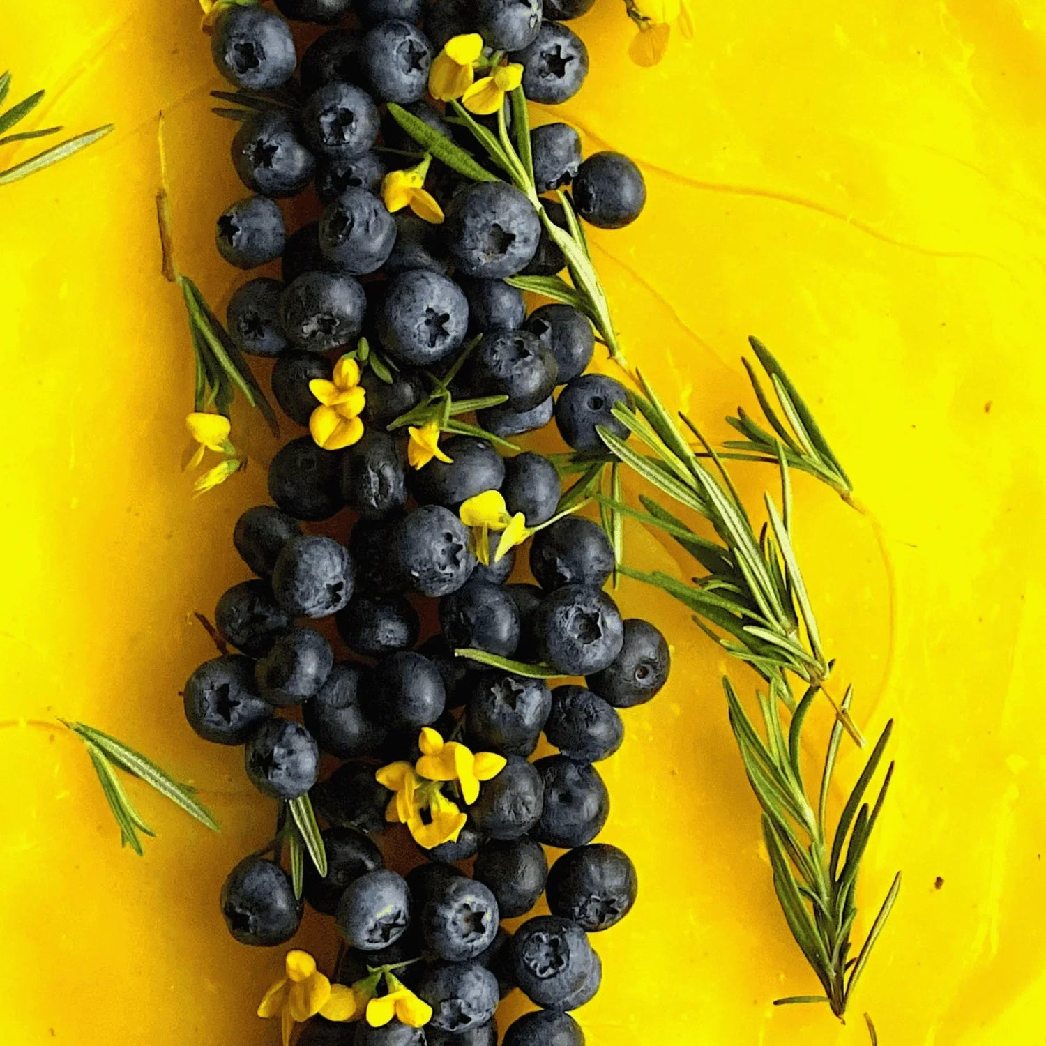 Lemon Blueberry Hempade Recipe (Detoxifying Summer Drink)