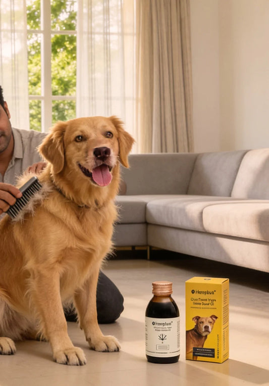 Pet Immune Protection Bundle