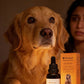 Pet Immune Protection Bundle